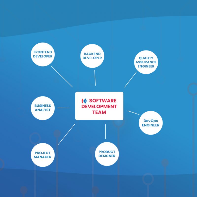 Software Project Team Roles And Responsibilities - POINTER